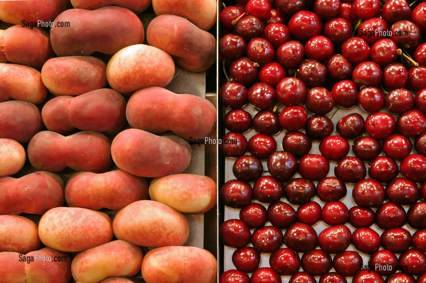 ETAL DE PECHES ET CERISES AU MARCHE 'LA BOQUERIA', TEMPLE CULINAIRE DEVENU UN DES PLUS GRAND MARCHE D'EUROPE, QUARTIER 'EL RAVAL', BARCELONA 