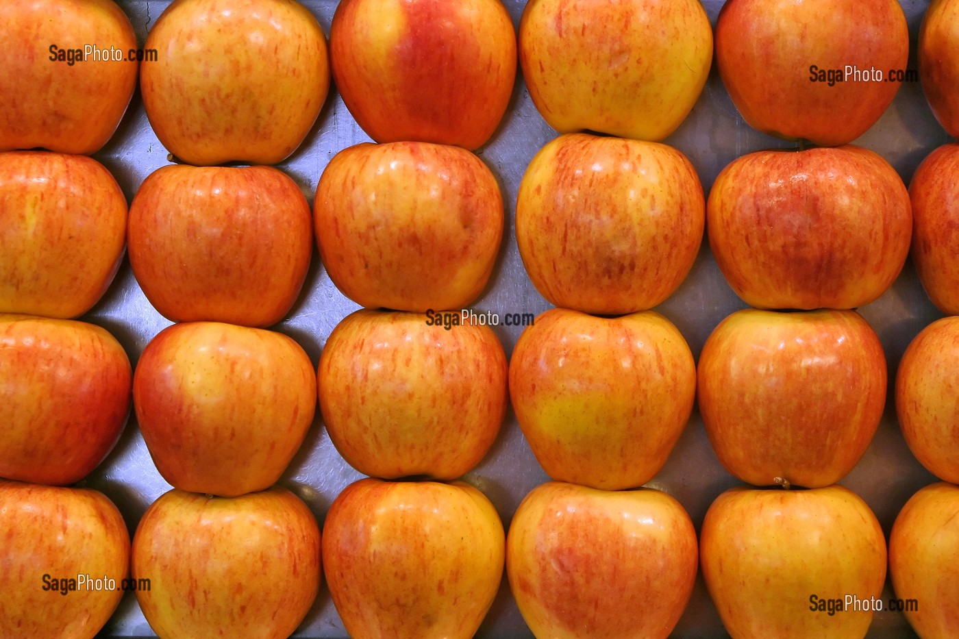 ETAL DE POMMES AU MARCHE 'LA BOQUERIA', TEMPLE CULINAIRE DEVENU UN DES PLUS GRAND MARCHE D'EUROPE, QUARTIER 'EL RAVAL', BARCELONA 