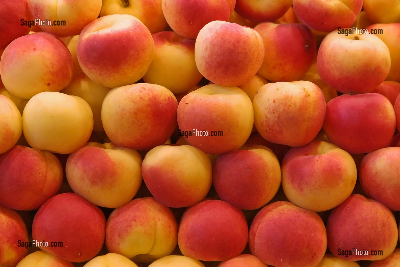 ETAL D'ABRICOTS AU MARCHE 'LA BOQUERIA', TEMPLE CULINAIRE DEVENU UN DES PLUS GRAND MARCHE D'EUROPE, QUARTIER 'EL RAVAL', BARCELONA 