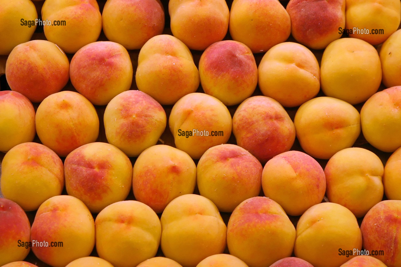 ETAL DE PECHES JAUNES AU MARCHE 'LA BOQUERIA', TEMPLE CULINAIRE DEVENU UN DES PLUS GRAND MARCHE D'EUROPE, QUARTIER 'EL RAVAL', BARCELONA 