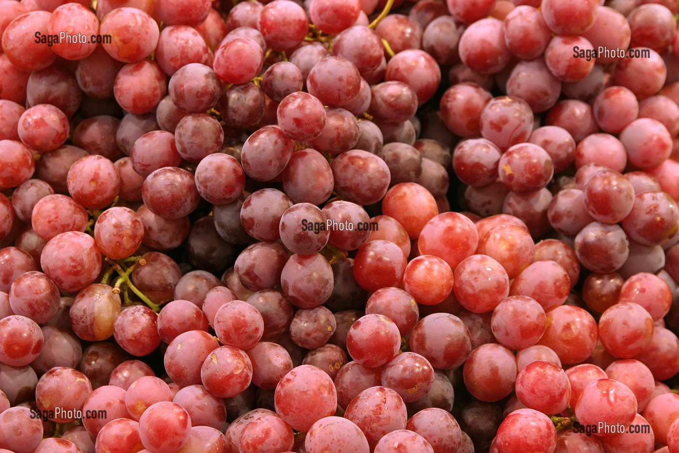 ETAL DE RAISINS ROUGES AU MARCHE 'LA BOQUERIA', TEMPLE CULINAIRE DEVENU UN DES PLUS GRAND MARCHE D'EUROPE, QUARTIER 'EL RAVAL', BARCELONA 