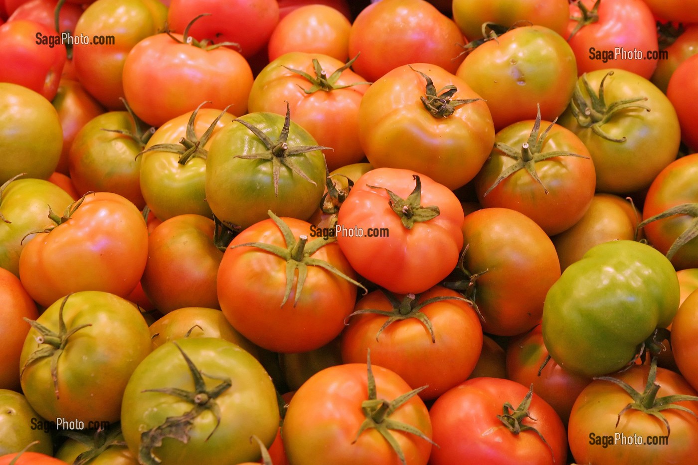 ETAL DE TOMATES AU MARCHE 'LA BOQUERIA', TEMPLE CULINAIRE DEVENU UN DES PLUS GRAND MARCHE D'EUROPE, QUARTIER 'EL RAVAL', BARCELONA 