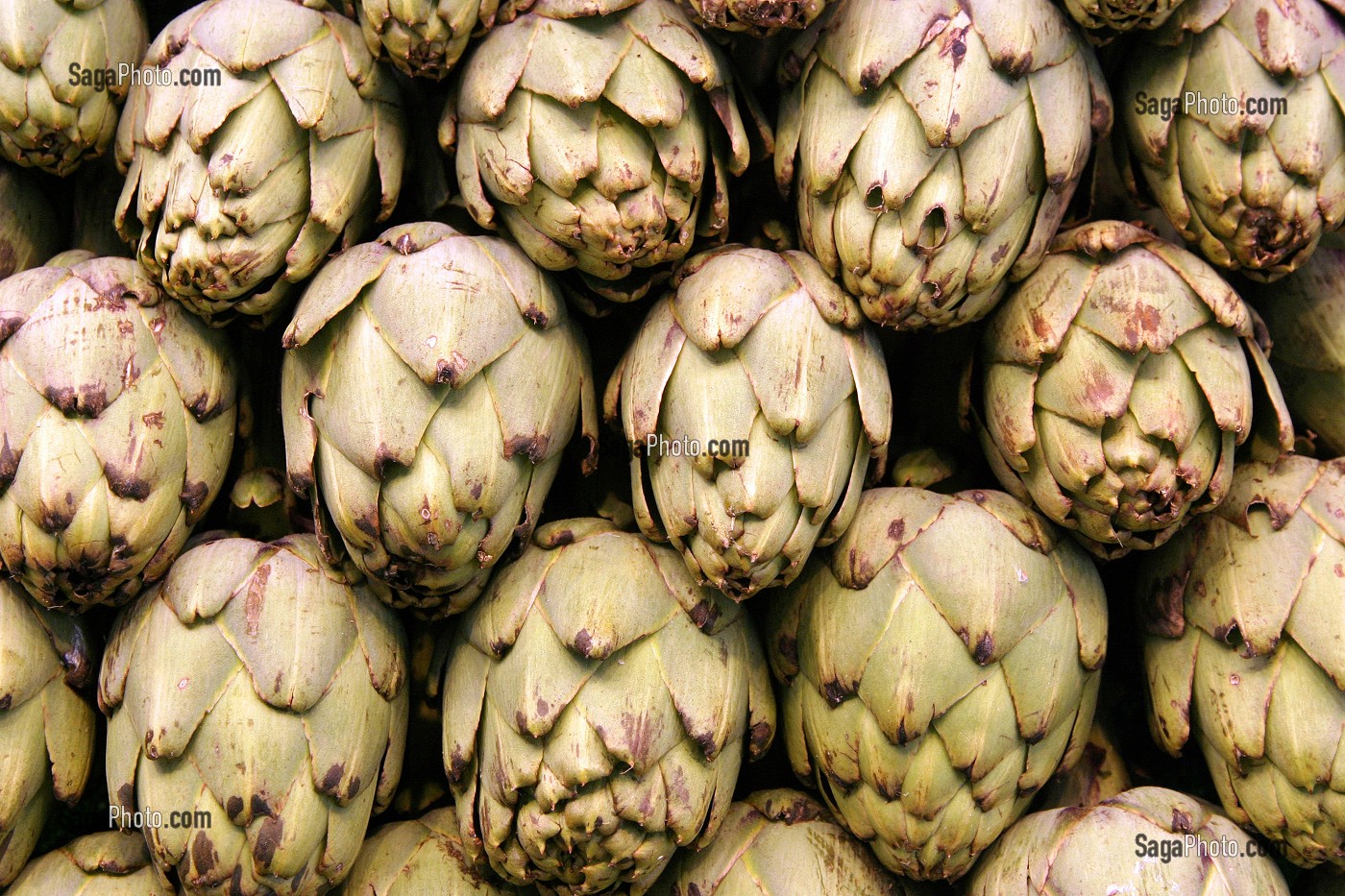 ETAL D'ARTICHAUTS AU MARCHE 'LA BOQUERIA', TEMPLE CULINAIRE DEVENU UN DES PLUS GRAND MARCHE D'EUROPE, QUARTIER 'EL RAVAL', BARCELONA 