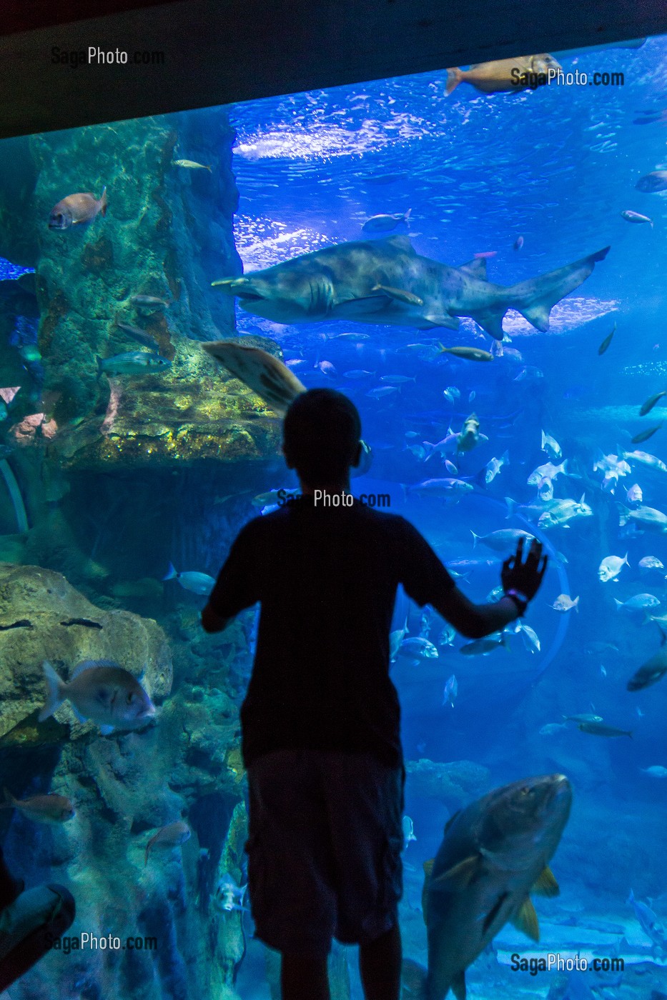 SAINT SEBASTIEN, DONOSTIA, CAPITALE EUROPEENNE DE LA CULTURE 2016, PAYS BASQUE, ESPAGNE 