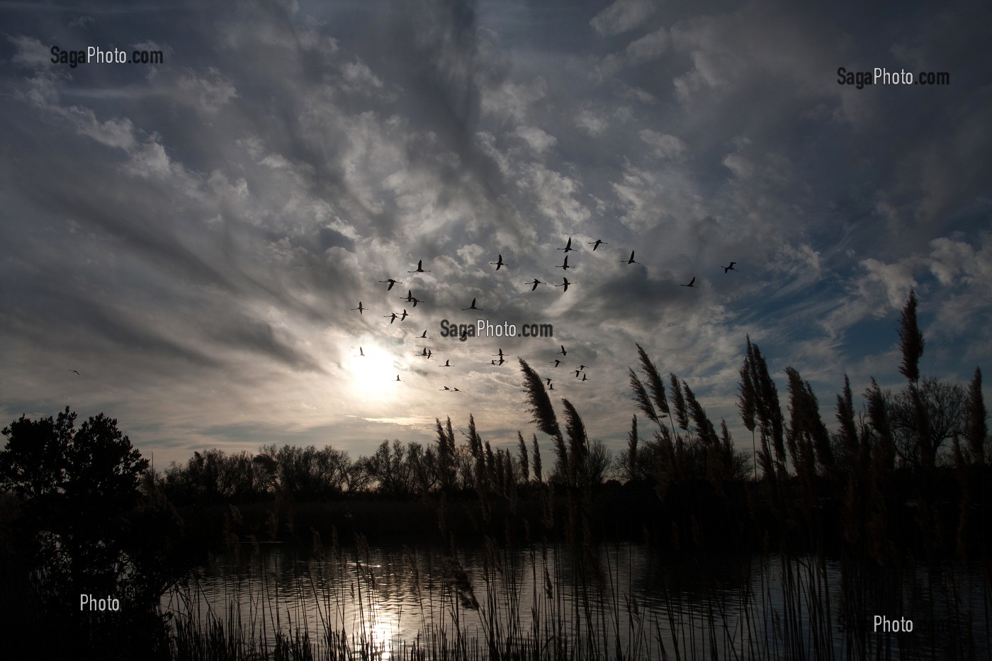 MARAIS ET PLANS D’EAU EN CAMARGUE, SUD DE LA FRANCE 