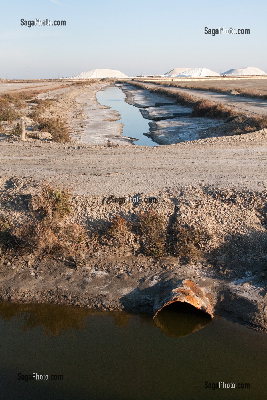 MARAIS ET PLANS D’EAU EN CAMARGUE, SUD DE LA FRANCE 