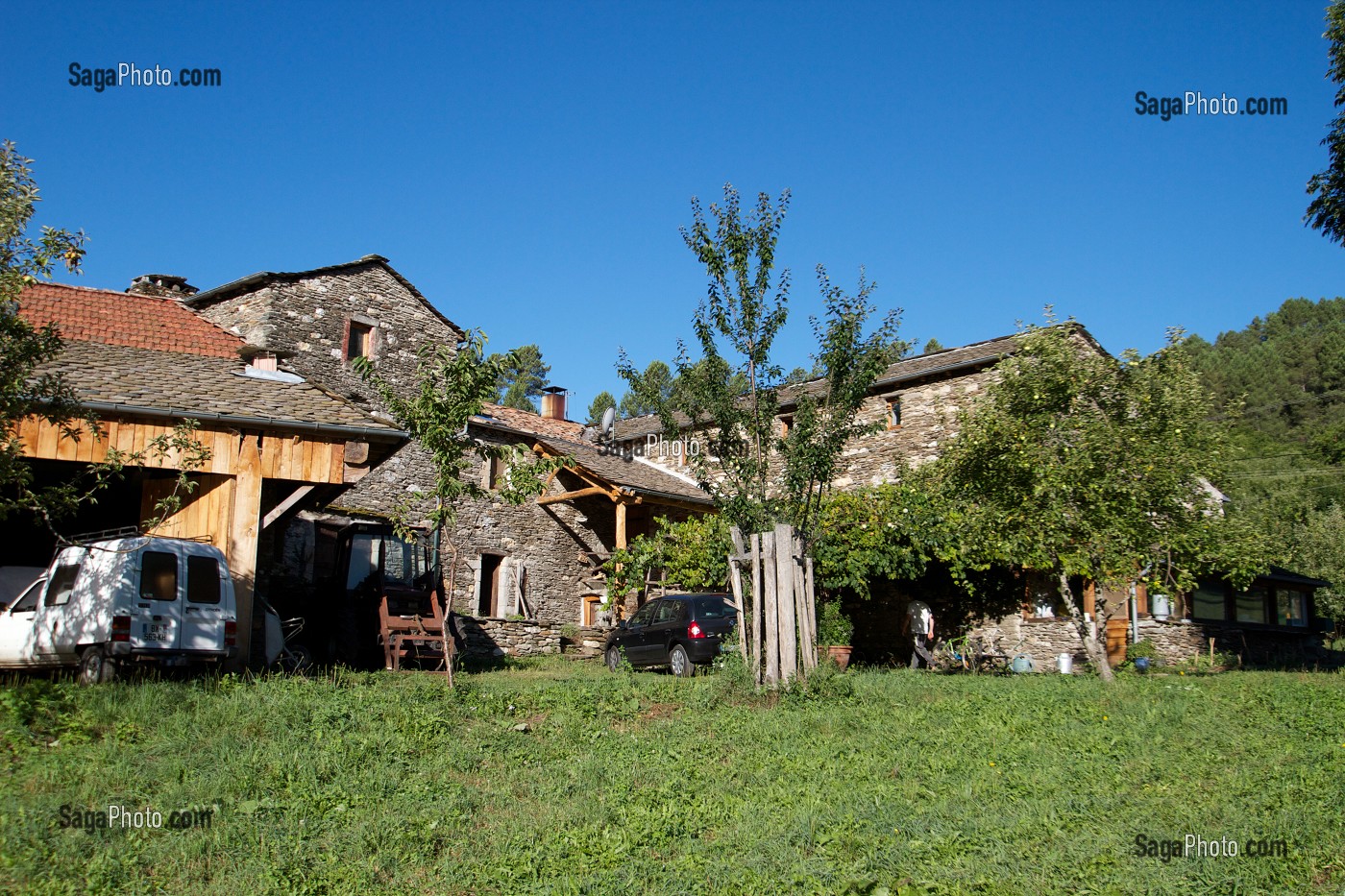 ELEVAGE DE CHEVRES, FERME DES PASSADOIRES, SAINT-ETIENNE-VALLEE-FRANCAISE, LOZERE, FRANCE 