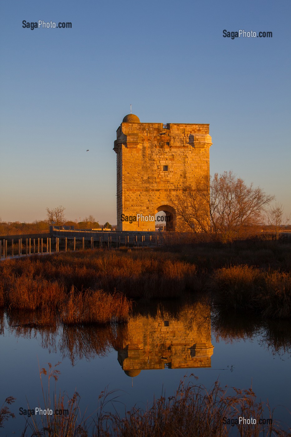 ILLUSTRATION CAMARGUE, GARD (30), LANGUEDOC-ROUSSILLON, FRANCE 