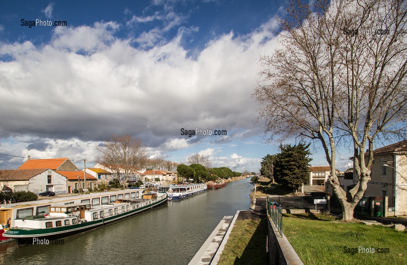 ILLUSTRATION CAMARGUE, GARD (30), LANGUEDOC-ROUSSILLON, FRANCE 