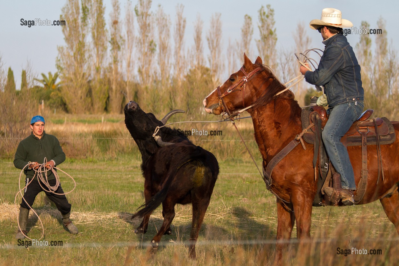 MANADE DE LUCIEN KRENINGER, SAINT-LAURENT D’AIGOUZE, (30) GARD, FRANCE 