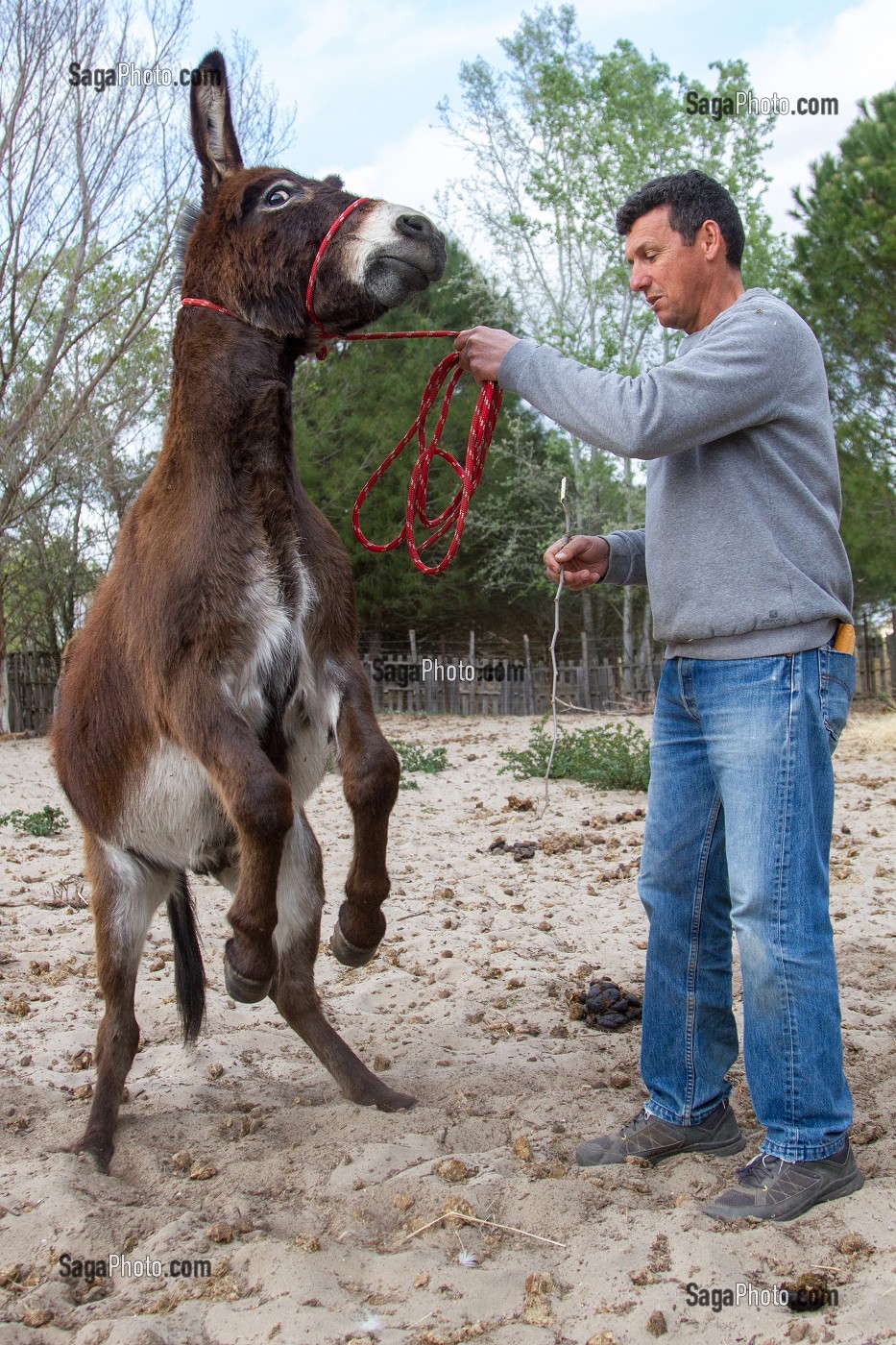 MANADE DE LUCIEN KRENINGER, SAINT-LAURENT D’AIGOUZE, (30) GARD, FRANCE 