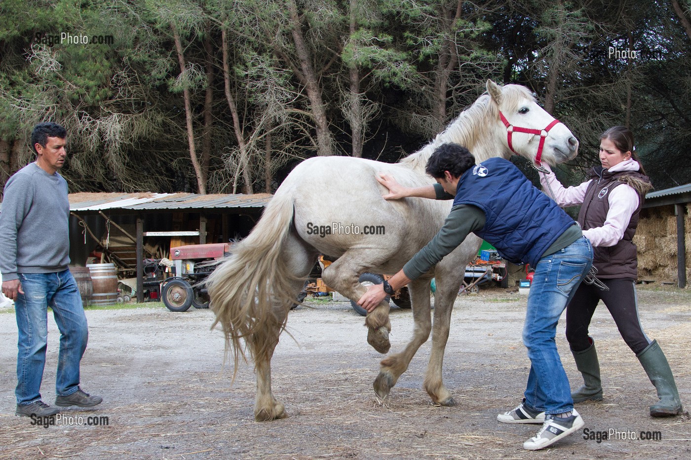 MANADE DE LUCIEN KRENINGER, SAINT-LAURENT D’AIGOUZE, (30) GARD, FRANCE 