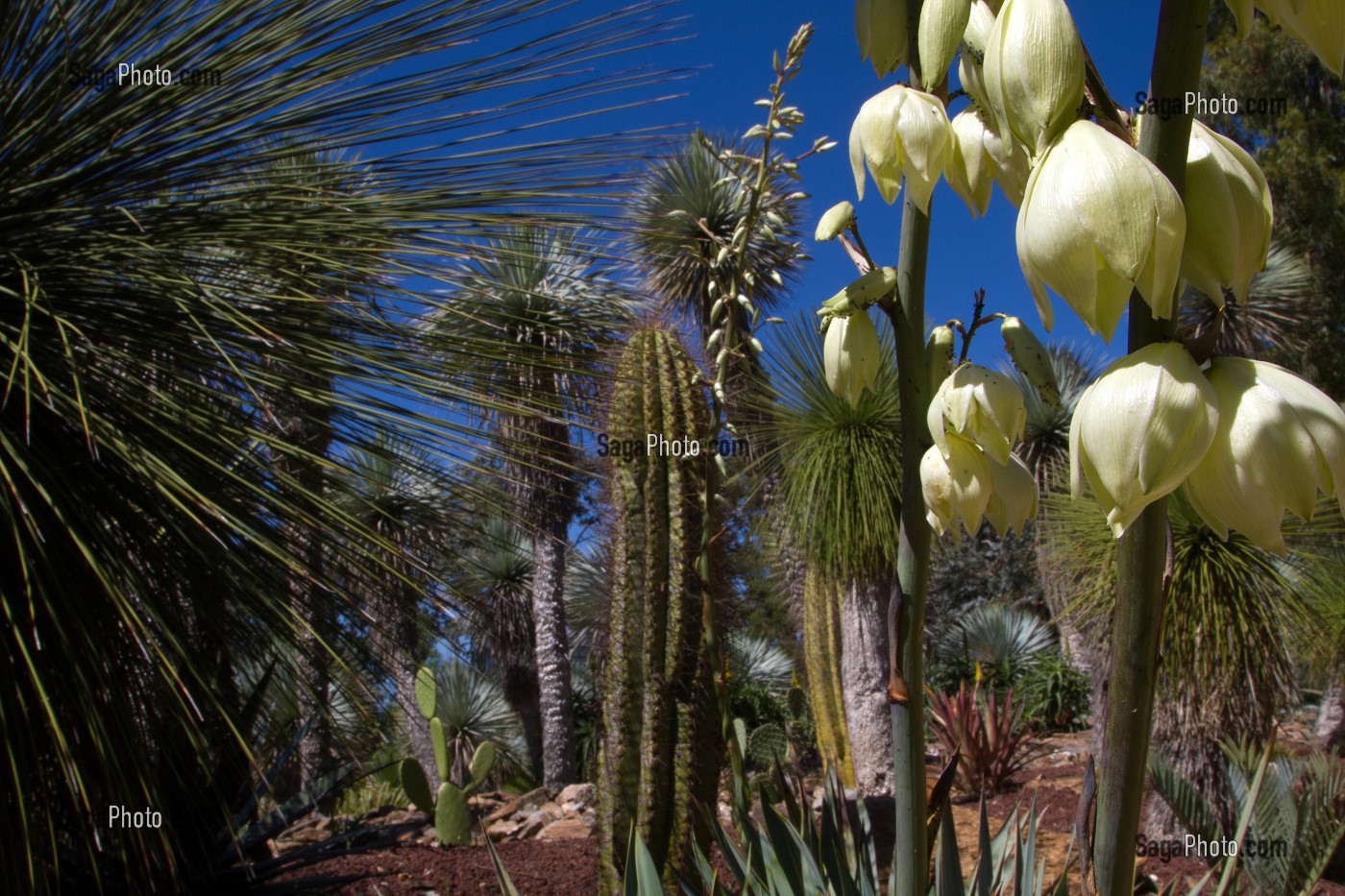 JARDIN ZOOLOGIQUE TROPICAL, LA-LONDE-LES-MAURES, (83) VAR, PACA, FRANCE 