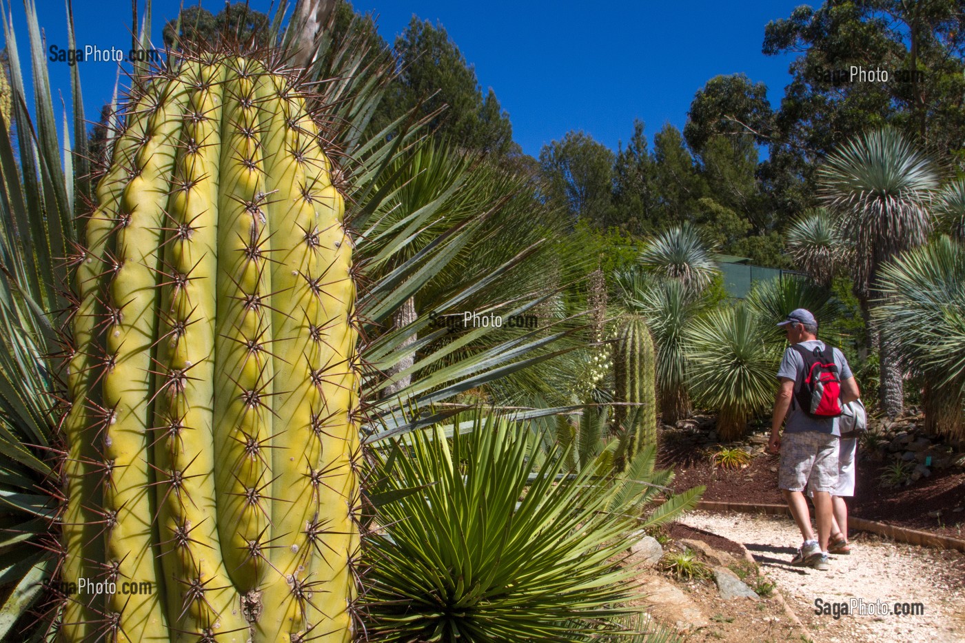 JARDIN ZOOLOGIQUE TROPICAL, LA-LONDE-LES-MAURES, (83) VAR, PACA, FRANCE 