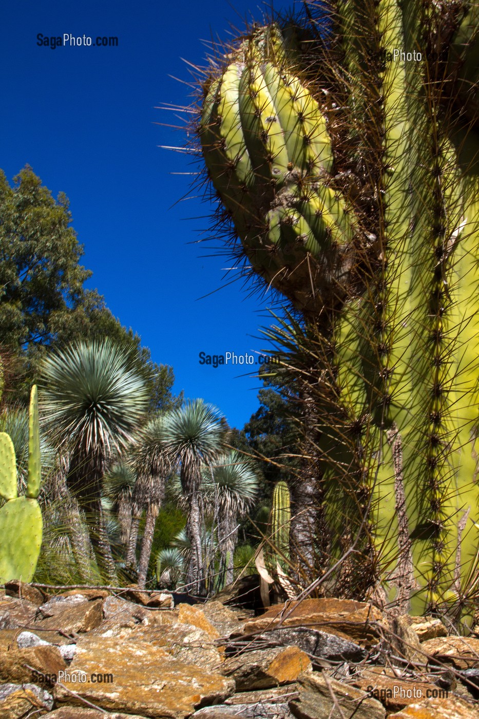 JARDIN ZOOLOGIQUE TROPICAL, LA-LONDE-LES-MAURES, (83) VAR, PACA, FRANCE 