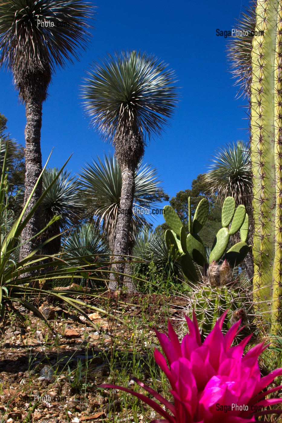 JARDIN ZOOLOGIQUE TROPICAL, LA-LONDE-LES-MAURES, (83) VAR, PACA, FRANCE 