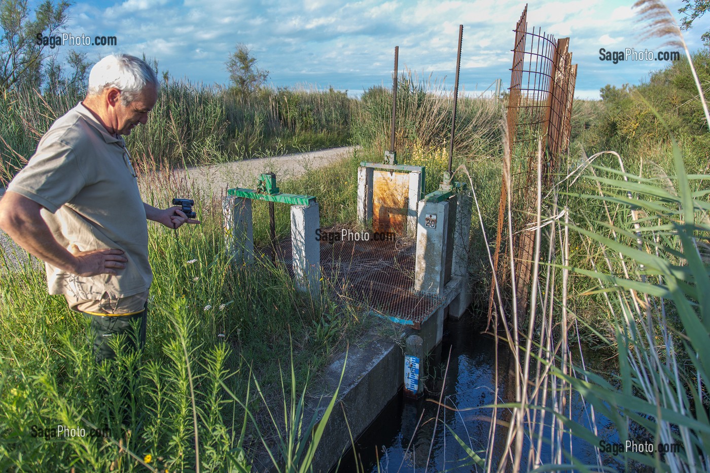 DEMOUSTICATION EN CAMARGUE, (30) GARD, LANGUEDOC-ROUSSILLON, FRANCE 