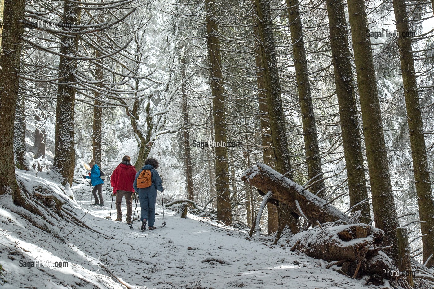 SAMOENS, (74) HAUTE SAVOIE, RHONE ALPES, FRANCE 