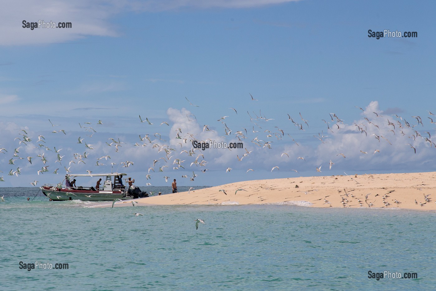 ARCHIPEL DES COMORES, OCEAN INDIEN, (976) MAYOTTE, DROM, FRANCE 