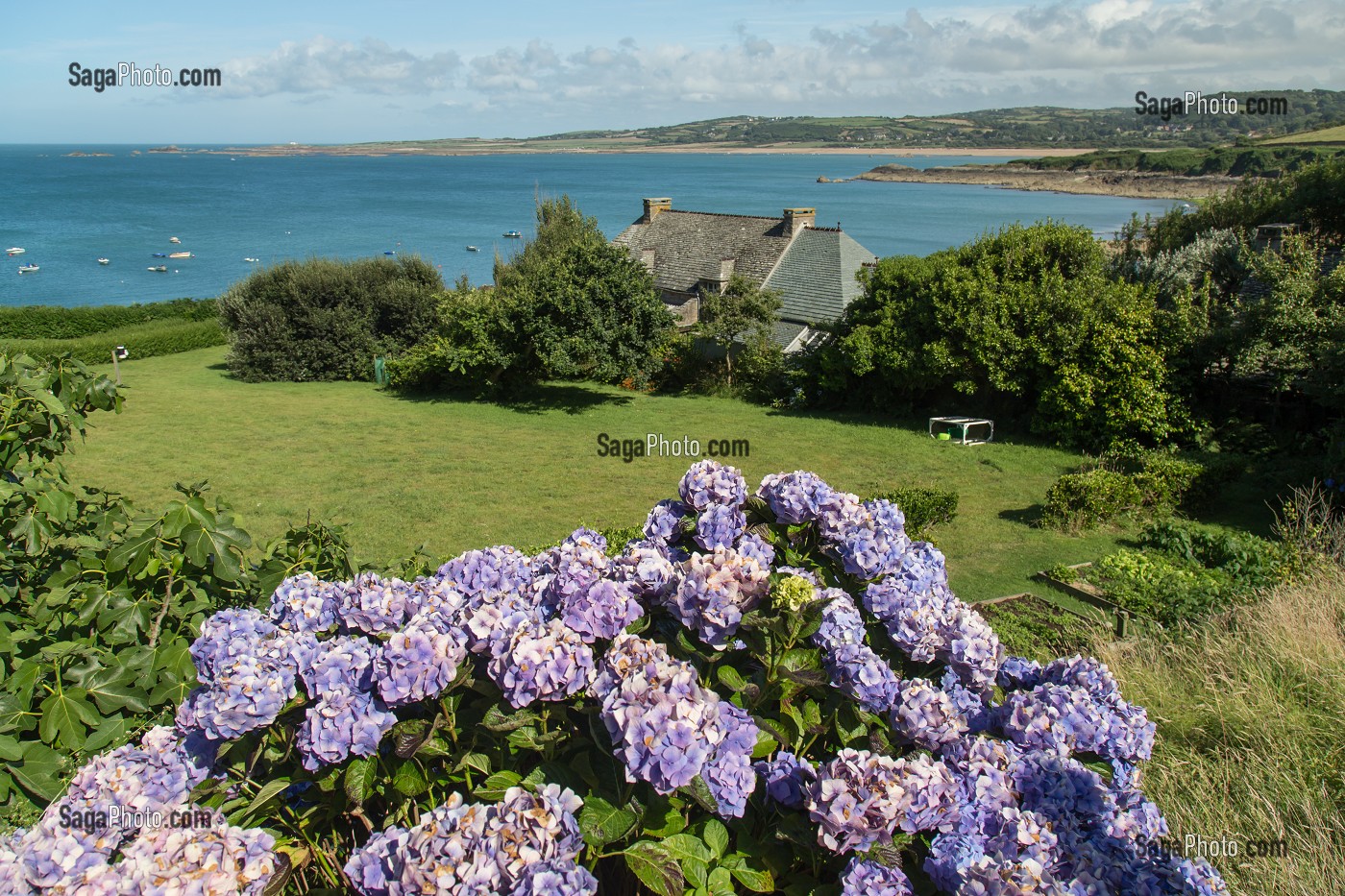 ILLUSTRATION COTENTIN, (50) MANCHE, BASSE-NORMANDIE, FRANCE 