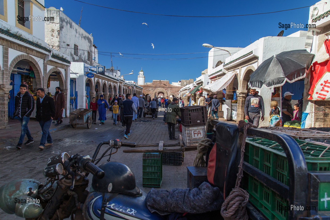 ESSAOUIRA, MOGADOR, CITE PORTUAIRE, COTE ATLANTIQUE, MAROC, AFRIQUE DU NORD 