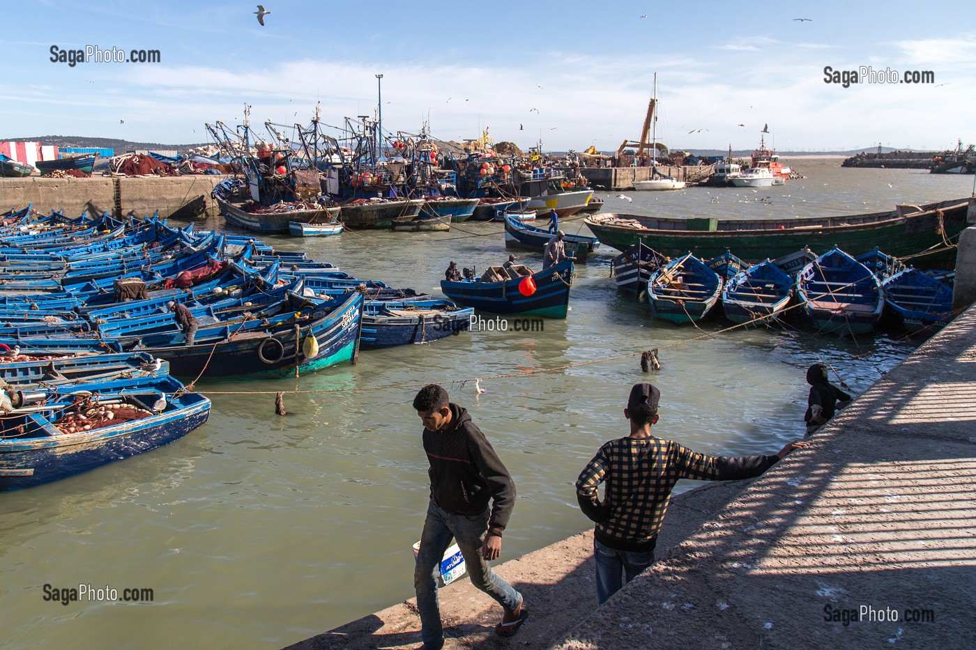 ESSAOUIRA, MOGADOR, CITE PORTUAIRE, COTE ATLANTIQUE, MAROC, AFRIQUE DU NORD 