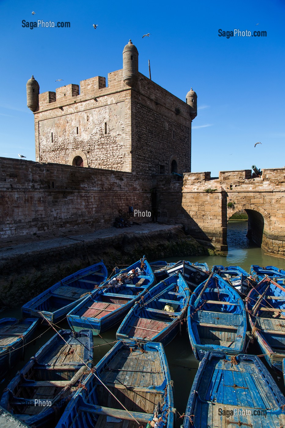 ESSAOUIRA, MOGADOR, CITE PORTUAIRE, COTE ATLANTIQUE, MAROC, AFRIQUE DU NORD 