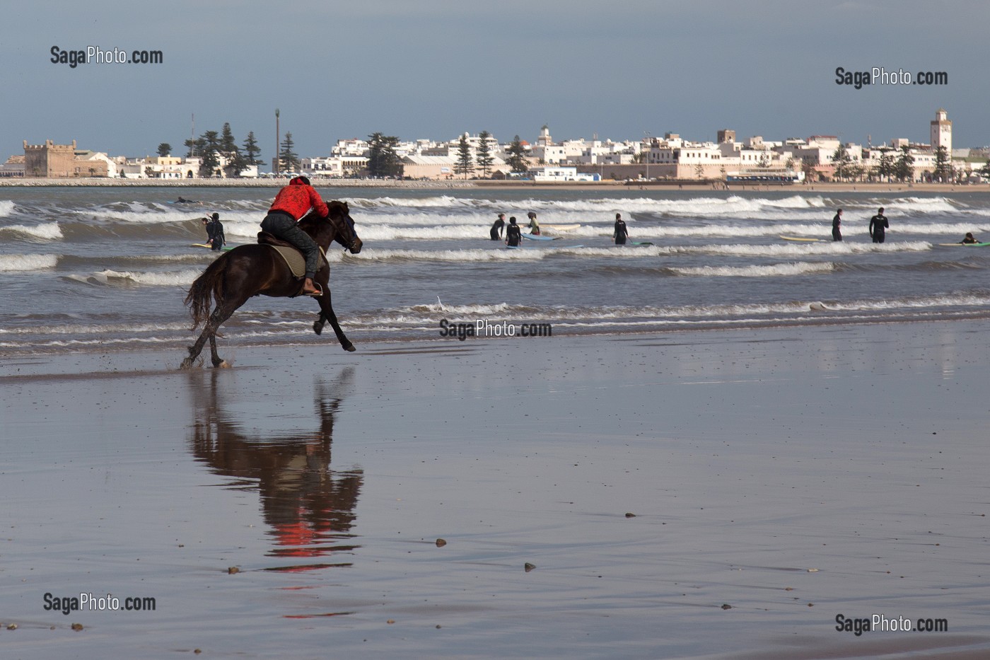 ESSAOUIRA, MOGADOR, CITE PORTUAIRE, COTE ATLANTIQUE, MAROC, AFRIQUE DU NORD 