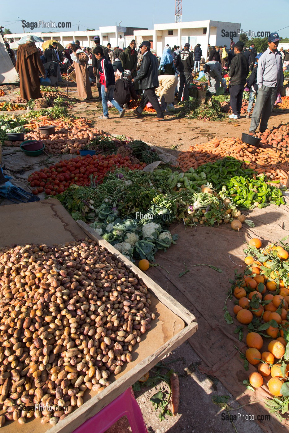 ESSAOUIRA, MOGADOR, CITE PORTUAIRE, COTE ATLANTIQUE, MAROC, AFRIQUE DU NORD 