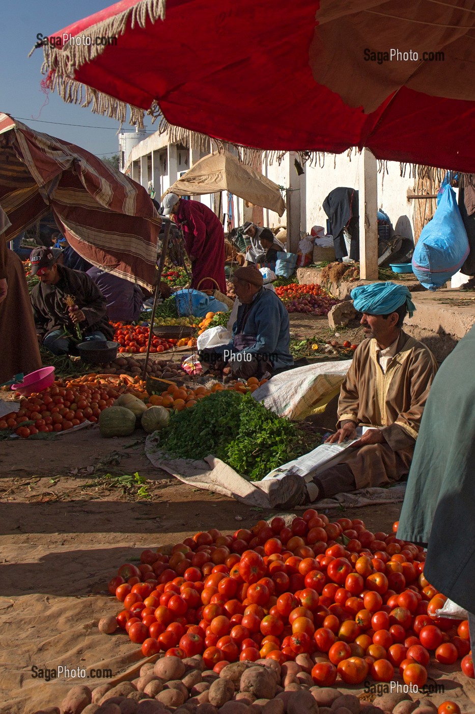 ESSAOUIRA, MOGADOR, CITE PORTUAIRE, COTE ATLANTIQUE, MAROC, AFRIQUE DU NORD 