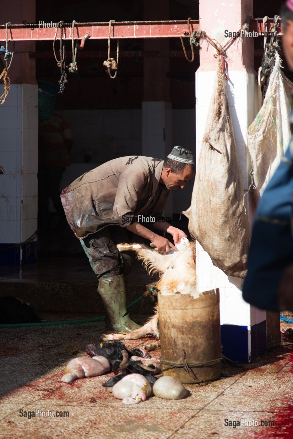 ESSAOUIRA, MOGADOR, CITE PORTUAIRE, COTE ATLANTIQUE, MAROC, AFRIQUE DU NORD 