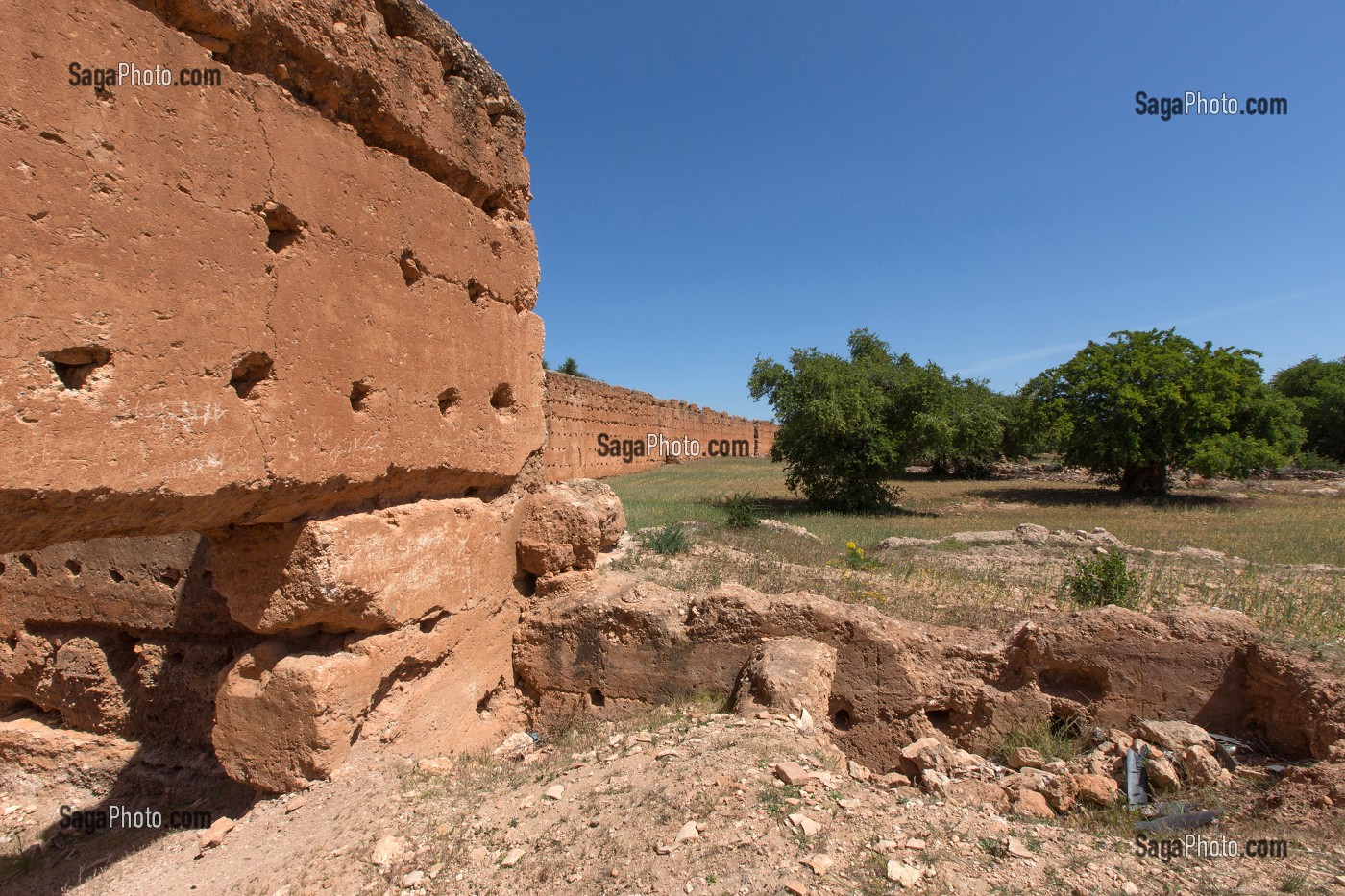 L'HUILE D'ARGAN, SUD D'ESSAOUIRA, MAROC, AFRIQUE DU NORD 