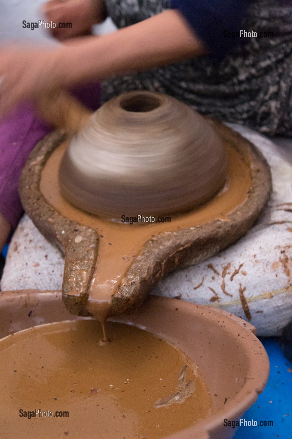 L'HUILE D'ARGAN, SUD D'ESSAOUIRA, MAROC, AFRIQUE DU NORD 