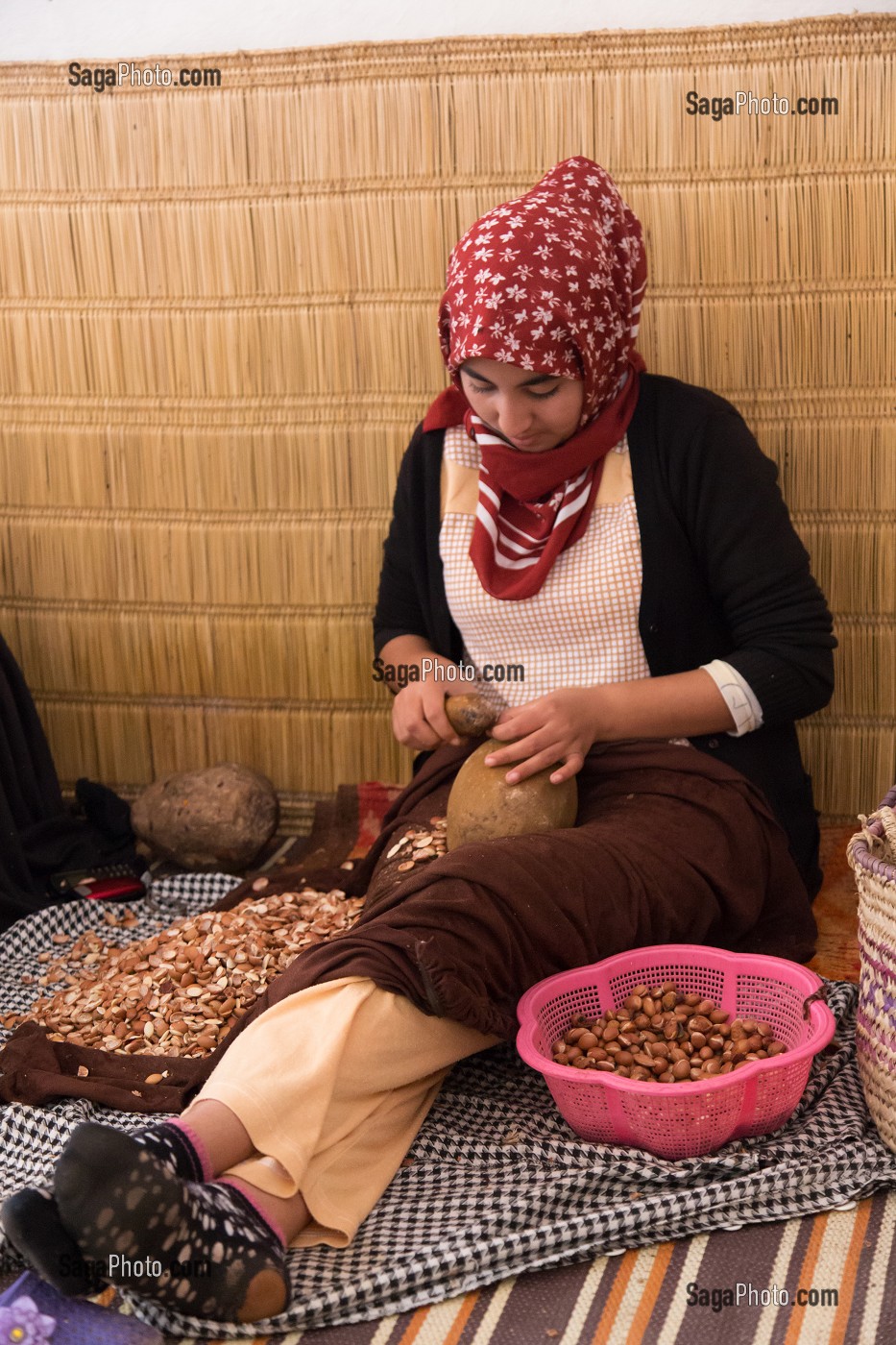 L'HUILE D'ARGAN, SUD D'ESSAOUIRA, MAROC, AFRIQUE DU NORD 