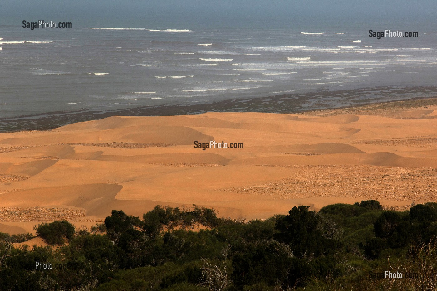 ESSAOUIRA, MOGADOR, CITE PORTUAIRE, COTE ATLANTIQUE, MAROC, AFRIQUE DU NORD 