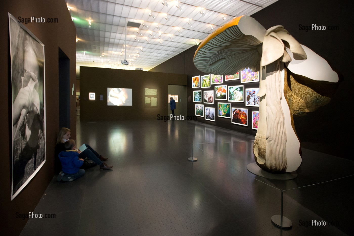 EXPOSITION JARDIN INFINI, DE GIVERNY A L'AMAZONIE, CENTRE POMPIDOU METZ, (57) MOSELLE, LORRAINE 