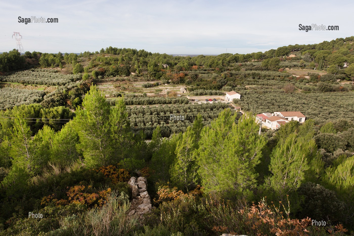 DOMAINE DU MAS DES BORIES, BALADE INSOLITE SUR LES TERRASSES EN PIERRES SECHES ET DE BORIES AU MOULIN DU MAS DES BORIES, DOMAINE OLEICOLE, CHEMIN DE LA COUSTADE, (13) SALON-DE-PROVENCE, REGION SUD, PROVENCE ALPES COTES D'AZUR, FRANCE 