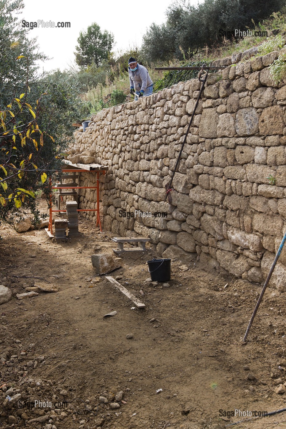 RESTAURATION D'UN MUR EN PIERRES SECHES. BALADE INSOLITE SUR LES TERRASSES EN PIERRES SECHES ET DE BORIES AU MOULIN DU MAS DES BORIES, DOMAINE OLEICOLE, CHEMIN DE LA COUSTADE, (13) SALON-DE-PROVENCE, REGION SUD, PROVENCE ALPES COTES D'AZUR, FRANCE 