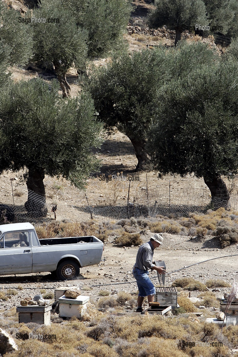 APICULTEUR PRES DE CHORA SFATION, CRETE, GRECE 