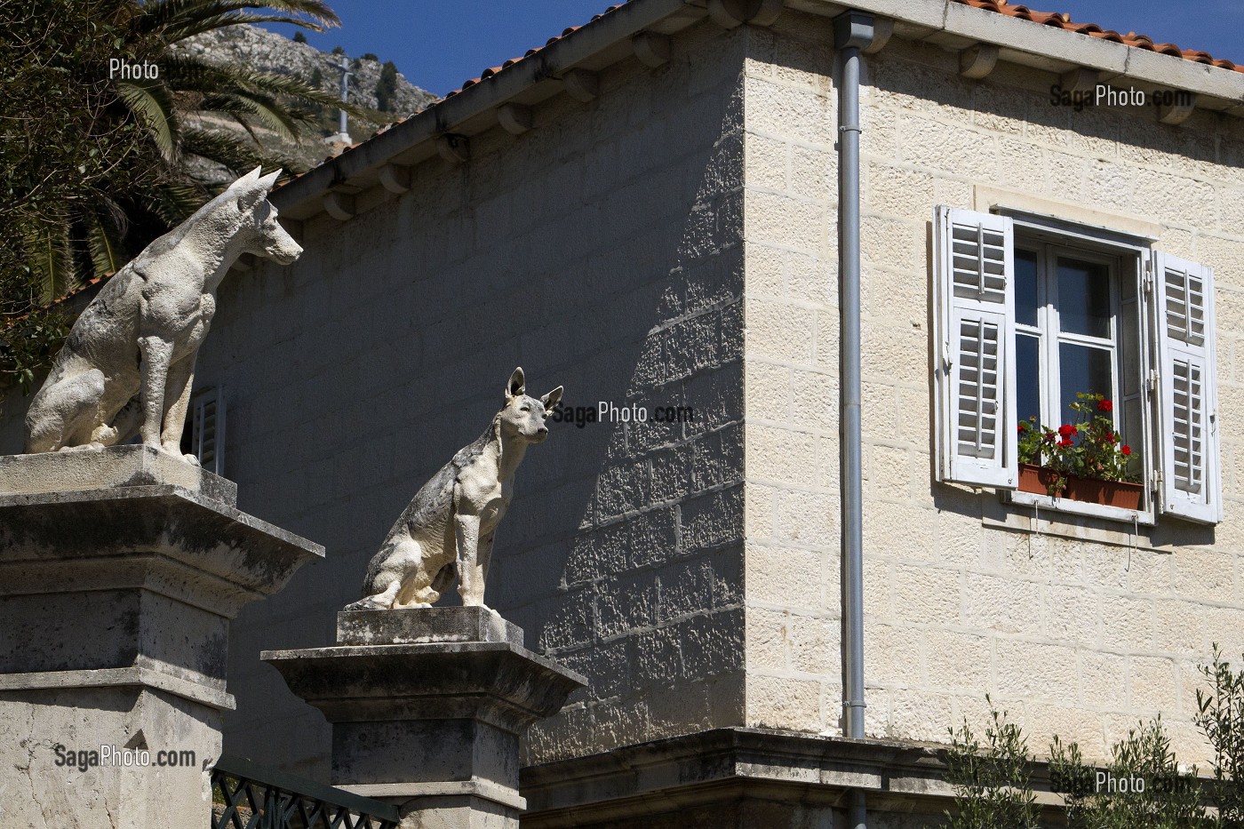 STATUES DE CHIENS DE GARDE DEVANT UNE MAISON, DUBROVNIK, CROATIE 
