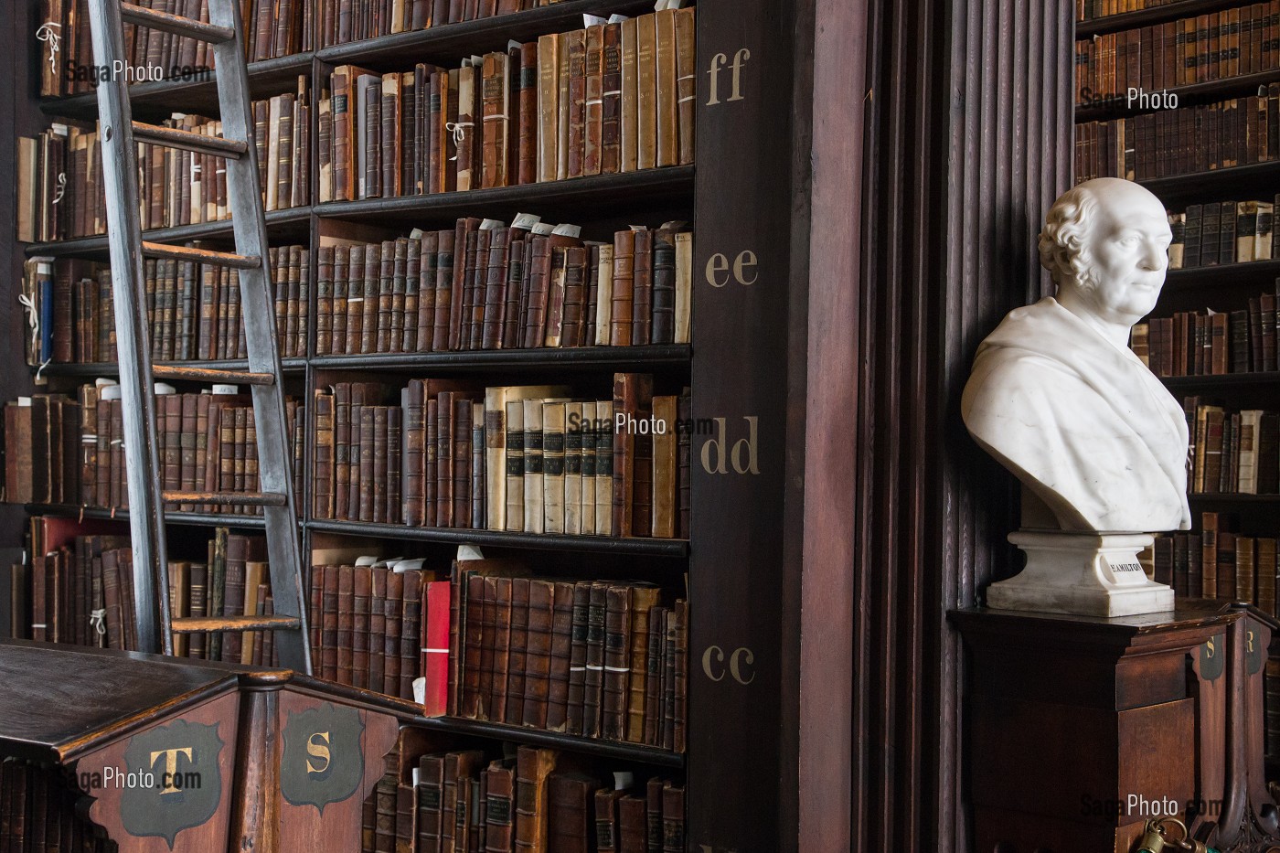 BUSTE DE HAMILTON WILLIAM ROWAN DANS L'ANCIENNE BIBLIOTHEQUE DU TRINITY COLLEGE, LA PLUS ANCIENNE BIBLIOTHEQUE D’IRLANDE, NASSAU STREET, DUBLIN, IRLANDE 