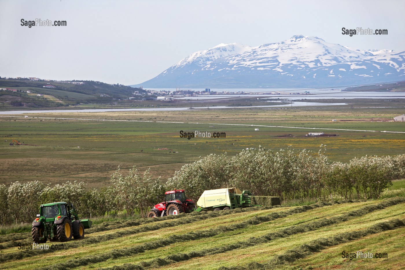 PAYSAGE AVEC EGLISE ET FENAISON, RAMASSAGE DU FOIN, ENVIRON D'AKUREYRI, ENTREE DU FJORD, NORD DE L'ISLANDE, EUROPE, ISLANDE 