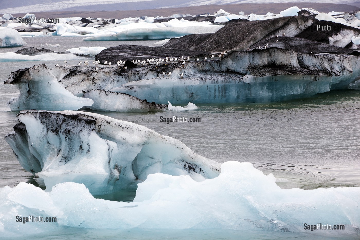 ICEBERGS SUR LE LAC JOKULSARLON, PROLONGEMENT DU GLACIER VATNAJOKULL OU GLACIER DES EAUX, LA PLUS GRANDE CALOTTE GLACIAIRE D'ISLANDE, VOIRE D'EUROPE 