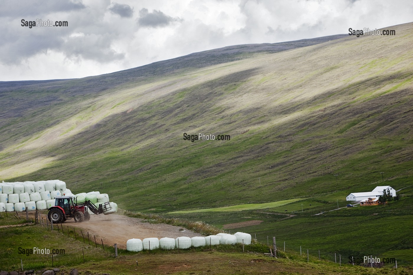 FERME PRES D'AKUREYRI, PENDANT LA SAISON DES FOINS, ISLANDE, EUROPE 