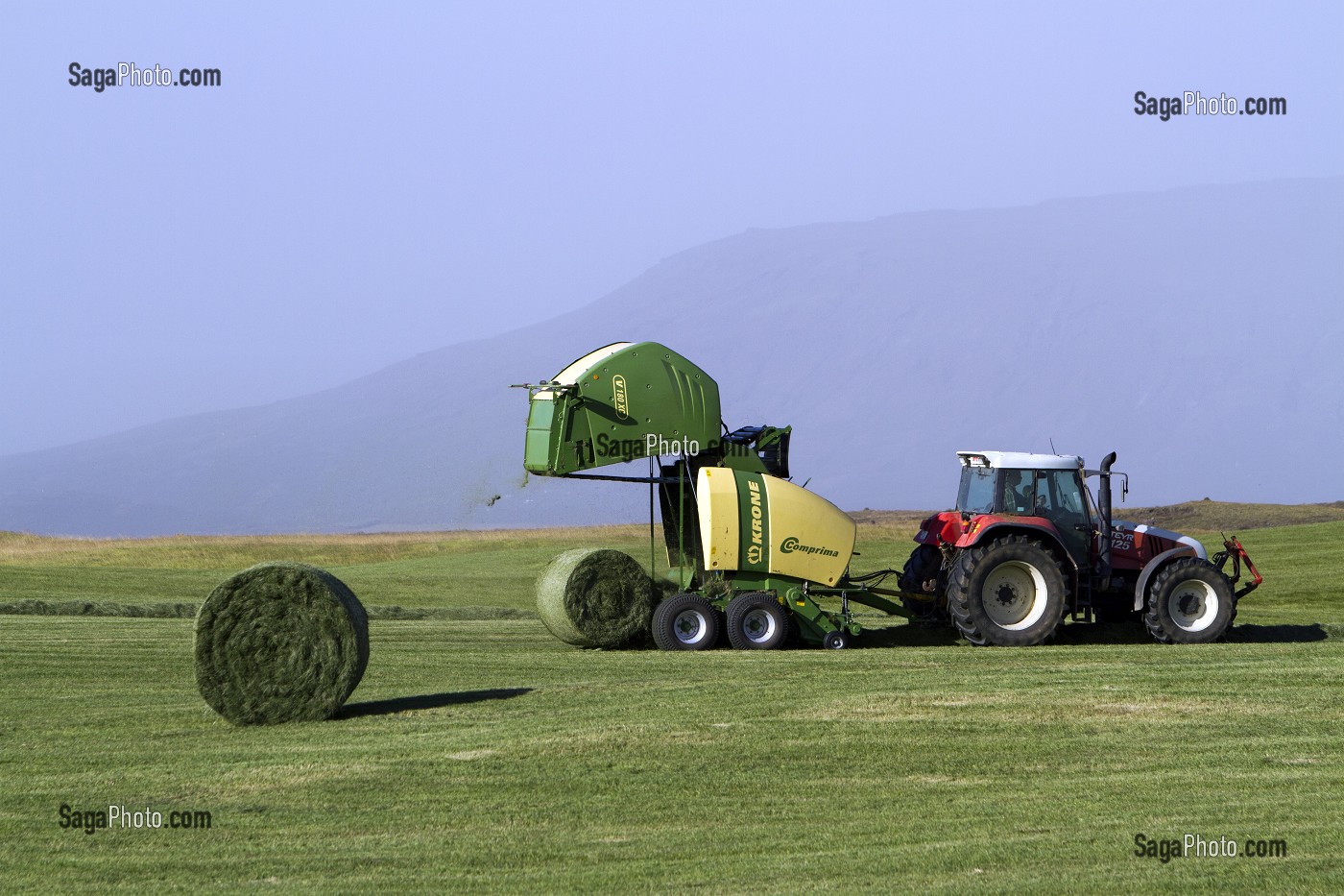 AGRICULTURE EN ISLANDE, EUROPE 