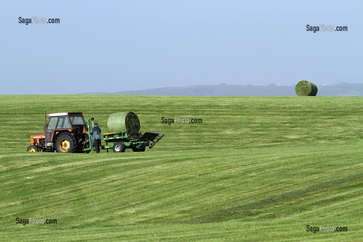 AGRICULTURE EN ISLANDE, EUROPE 