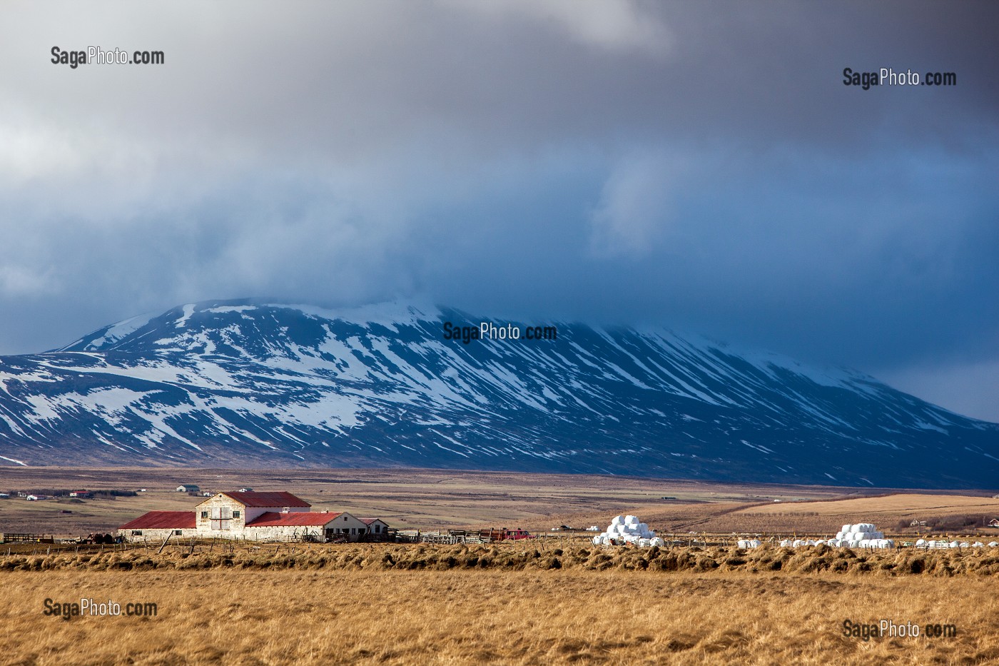 AGRICULTURE EN ISLANDE, EUROPE 