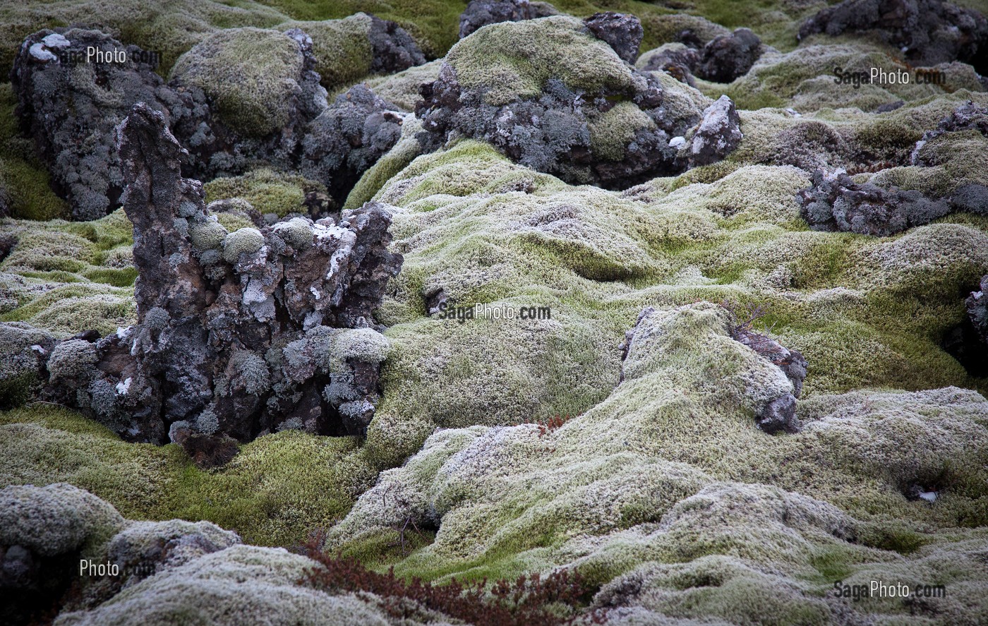 MONTAGNES ET VOLCANS, PAYSAGES D’ISLANDE, EUROPE 
