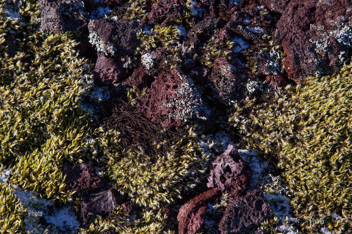 MONTAGNES ET VOLCANS, PAYSAGES D’ISLANDE, EUROPE 