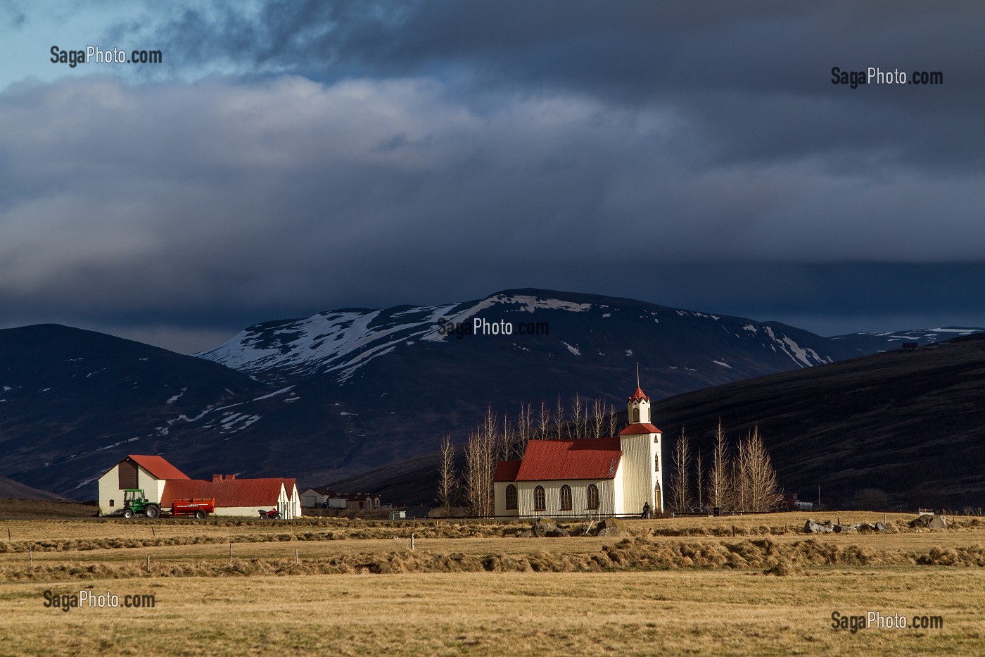 AGRICULTURE EN ISLANDE, EUROPE 